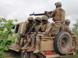 Somali Elite Forces Kill 14 Al-Shabaab Fighters in Southern Operation