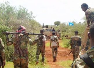 Somali Army Launches Security Operation Against Al-Shabaab in Lower Shabelle