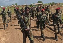 Somali army says killed 100 Al-Shabab militants in the southern region