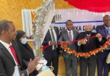 Puntland oo bilowday diiwaangelinta doorasho qof iyo cod ah