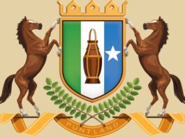 Puntland Announces New Security Measures, Warns Against Unauthorized Militias and Federal Activities