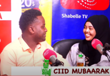 Barnaaamijka Salaamaha iyo Shaqaalaha Shabelle