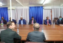 Somali PM meets with Swedish minister