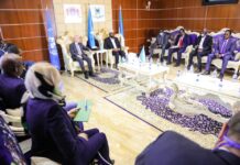 Axmed Madoobe oo la kulmay wafdi ka socda beesha caalamka + Sawirro