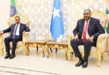Madaxweyne Siciid Deni oo kulan la qaatay safiirka Itoobiya ee Soomaaliya + Sawirro