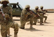 Al-Shabab militants killed in central Somalia