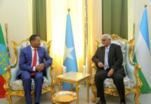 Madaxweyne ku xigeenka Puntland oo kulan la qaatay safiirka Itoobiya + Sawirro