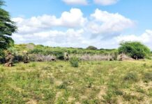 Dagaal lagu dilay xubno ka tirsanaa Al-Shabaab oo ka dhacay gobolka Hiiraan