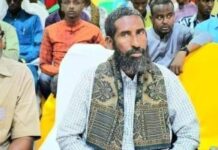 Yaa ka dambeeyey dilkii Sheekh Cali Dheere loogu geystay duleedka Gaalkacyo?