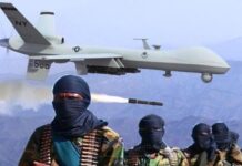 US airstrike in Somalia is 2nd this week against al-Shabab