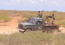 Somali army kills 15 al-Shabab militants in central region