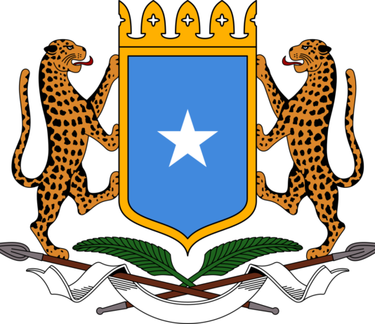 Somalia calls on South Africa to protect its nationals over unrest