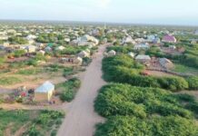 Maleeshiyaad hubeysan oo dad isku qoys ahaa ku laayey gobolka Mudug