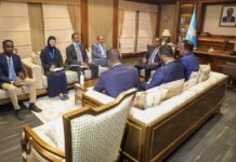 Somali PM meets with top official from UNICEF