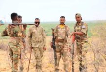 Somali Forces Kill Scores of Al-Shabaab Fighters in Airstrikes in Mudug