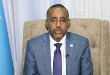 Somali PM orders probe into killing of 7 civilians in southern region