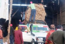Al-Shabaab free miraa drivers abducted along Wajir-Garissa border
