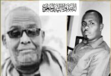 Somalia: Two soldiers shot dead by al Shabab in Mogadishu