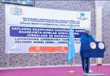 Axmed Madoobe oo daah-furay adeeg daadajinta dowlada hoose