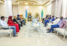 Axmed Madoobe oo qaabilay wafdi ka socday DF Soomaaliya