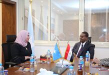Safiirka Soomaaliya ee Masar oo la kulmay mas’uuliyiin ka tirsan dalkaasi