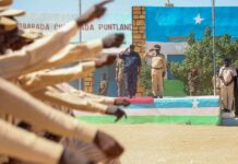 Madaxweyne Saciid Deni oo tababar u soo xiray ciidamo cusub + Sawirro
