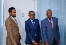 Wasiirka cusub ee arrimaha dibadda Soomaaliya oo xilka loo dhaariyey
