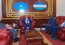 Sawirro: Madaxweyne ku xigeenka Puntland oo la kulmay Madaxda UNDP
