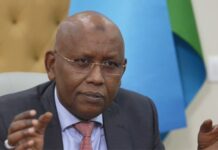 Jabuuti oo shaacisay inuu saameyn dhaqaale ku yeeshay dagaalka Itoobiya