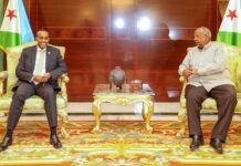 Ra’iisul wasaare Rooble oo la kulmay madaxweynaha Jabuuti + Sawrirro