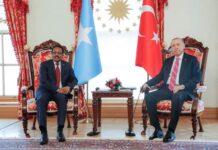 Sawirro: Maxay ka wada-hadleen Farmaajo & dhiggiisa dalka Turkiga?