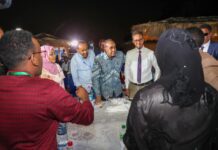 Sawirro: R/W Rooble oo munaasabad ballaaran uga qeyb-galay dalka Jabuuti