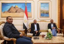 Wafdi ka socda DF Soomaaliya oo shir uga qeyb-galay Masar + Sawirro