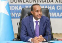 Somali Government Denies Former PM Roble Diplomatic Passport for South Africa Trip
