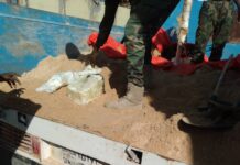 Ciidamada ammaanka Puntland oo gacanta ku dhigay hub iyo saanad