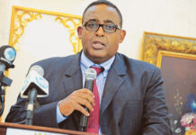 Former Somali PM Criticizes New Ethiopia-Somalia Agreement