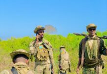 DF oo shaacisay inay howl-gal ku dishay 15 ka tirsanaa Al-Shabaab