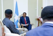 Madaxweynaha JFS oo qaabilay wafdi ka socda Midowga Afrika + Sawirro
