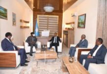 Muxuu Wasiirka Gaashaandhigga kala hadlay wafdiga Midowga Afrika?