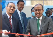 Cabdisaciid oo xariga ka jaray qayb lagu kordhiyey safaarada Somalia ee Masar