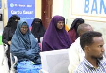 Ganacsato Ka Faa’idaystay Maal-Gelinta Qardu Xasan Ee Salaam Somali Bank