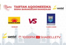 Degmada Waabari oo xalay u gudubtay wareega labaad ee tartanka Shabelle