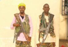 Xubno ka tirsanaa Al-Shabaab oo isku soo dhiibay ciidamada DF Soomaaliya