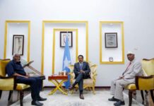 Maxay ka wada-hadleen Farmaajo iyo guddonka KMG ah ee labada aqal?