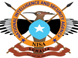 Somalia’s NISA says seven Al-Shabaab members killed in Lower Shabelle operation