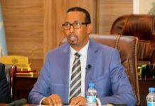 Xildhibaan shaaciyay inay mushaar la’aan yihiin ciidamadii laga keentay Eritrea