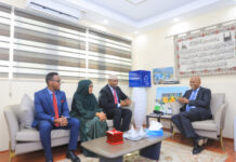 Wasiirka qorsheynta Soomaaliya oo kulan la qaatay dhiggiisa Jabuuti + Sawirro
