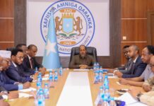 Madaxweyne Xasan oo guddoomiyay shirka Golaha Amniga Qaranka