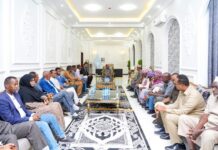 Somali president continues talks in Galmudug on Al-Shabaab war