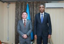 Somalia, US discuss stepping up fight against Al-Shabaab